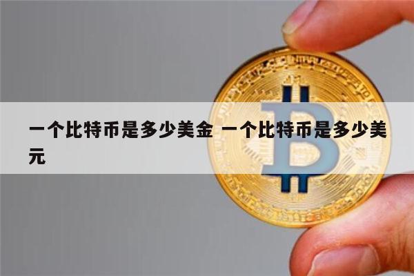 一个比特币是多少美金 一个比特币是多少美元 第1张