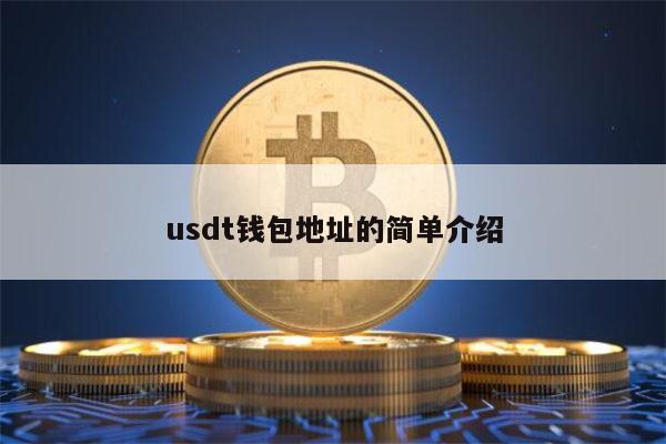 usdt钱包地址的简单介绍 第1张